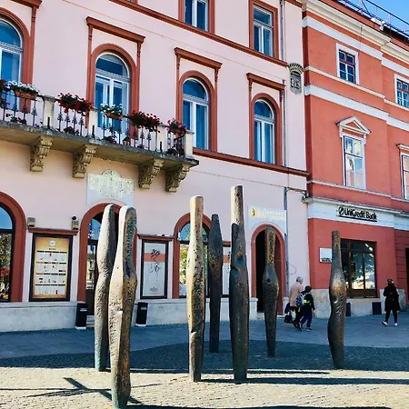 公寓 Kilometrul 0 Cluj-napoca 克卢日-纳波卡